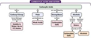 Concept map of carboxylic acids and esters