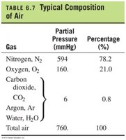 Typical Composition of Air
