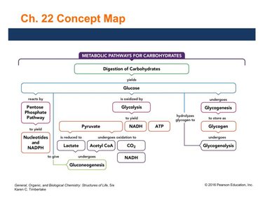 Concept map of metabolic pathways for carbohydrates