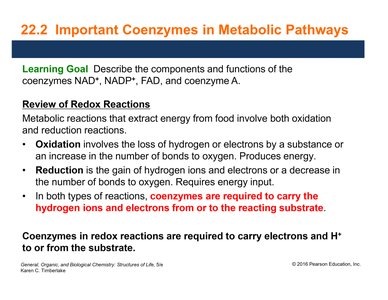 Redox reactions and coenzymes