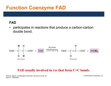 Function of FAD in metabolic reactions