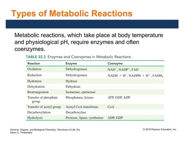 Table of metabolic reaction types, enzymes, and coenzymes