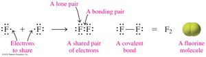 Electron-dot formula for F2
