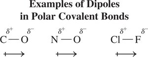 Examples of dipoles in polar covalent bonds