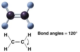 Straight and branched chain isomers