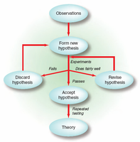 Scientific method flowchart