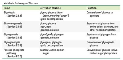 Table of metabolic pathways of glucose