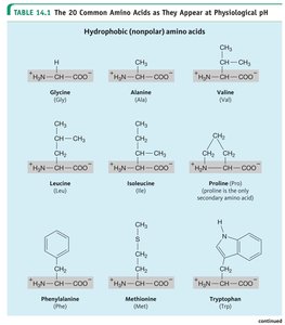 Table of nonpolar amino acids