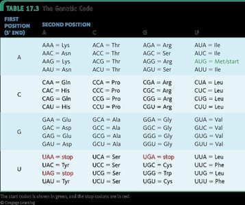 Genetic code table