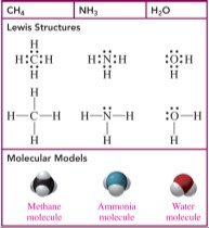 Lewis structures and molecular models of CH4, NH3, and H2O