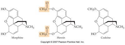 Caffeine structure