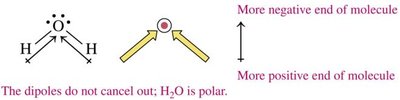 H2O is polar because the dipoles do not cancel