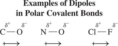 Examples of dipoles in polar covalent bonds