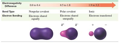 Table showing bond type by electronegativity difference