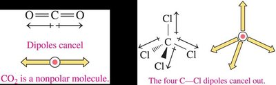 Dipoles cancel in CO2 and CCl4, making them nonpolar