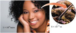 Human hair and scientific notation example
