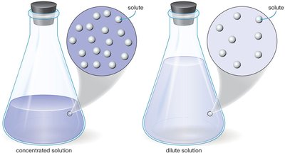 Concentrated and dilute solutions in flasks