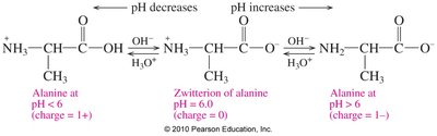 Effect of pH on alanine charge