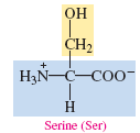 Structure of serine, a polar neutral amino acid