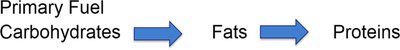 Order of energy use: carbohydrates, fats, proteins