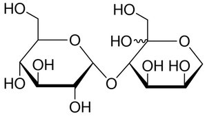 Structure of lactose with glycosidic bond