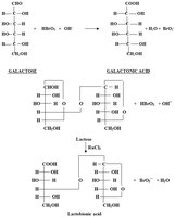 Oxidation of galactose to galactoic acid