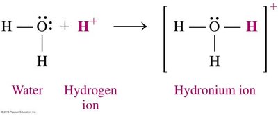 Formation of hydronium ion from water and hydrogen ion