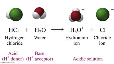 HCl and H2O react to form H3O+ and Cl- (Bronsted-Lowry example)