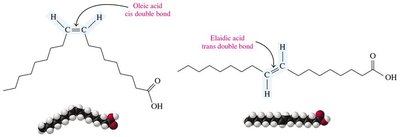 Cis and trans isomers of fatty acids