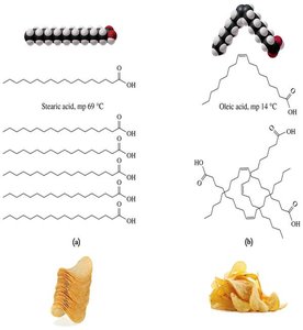 Comparison of saturated and unsaturated fatty acids