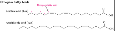 Omega-6 fatty acids structure