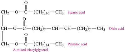 Mixed triacylglycerol structure