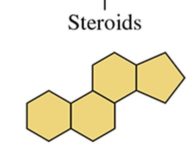Steroid structure