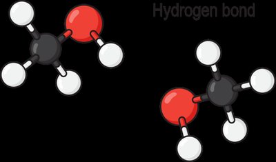 Hydrogen bonding between alcohol molecules