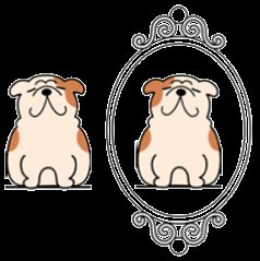 Chirality illustrated with mirror image