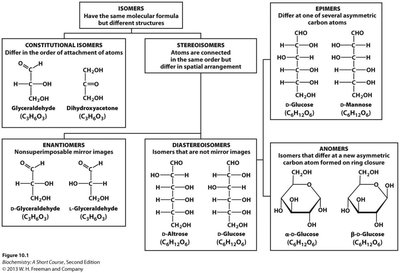 Summary of isomer types in carbohydrate chemistry