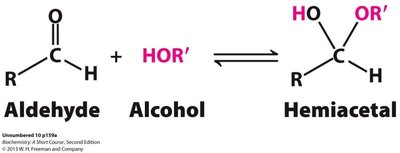 Aldehyde and alcohol reaction to form hemiacetal