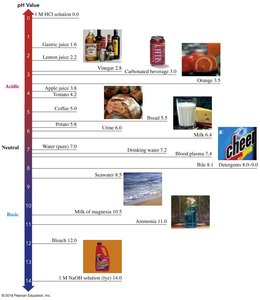 pH scale with common substances