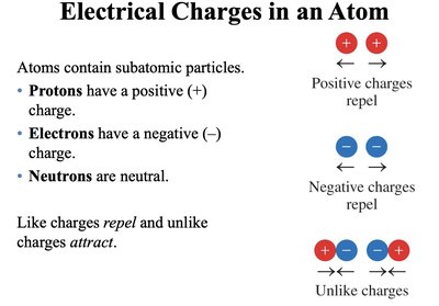 Composition of some atoms of different elements