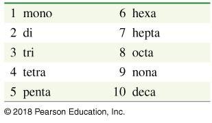 Table of prefixes for naming molecular compounds