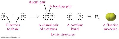 Lewis structure of F2 showing bonding and lone pairs