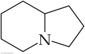 Structure of octahydroindolizine