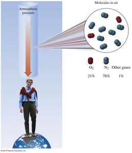 Atmospheric pressure acting on a person, with air composition shown