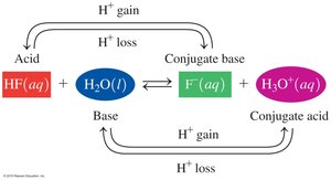 HF and water conjugate acid-base pairs
