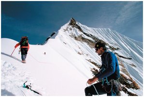 Oxygen transport equilibrium in blood