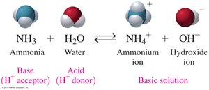 Ammonia and water reaction showing base and acid