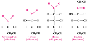Examples of aldoses and ketoses