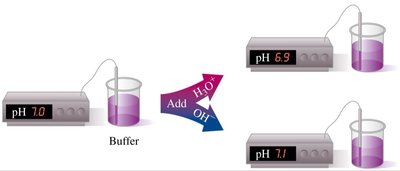 Buffer solution resists pH change when acid or base is added