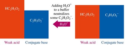 Addition of H3O+ to buffer neutralizes some C2H3O2-