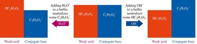 Summary of buffer action with weak acid and conjugate base